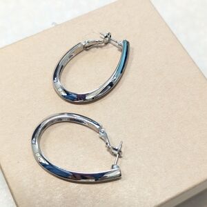 Elegant Silver Hoop Earrings